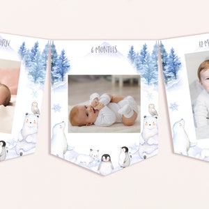May include: A baby milestone banner with three pennants. Each pennant features a baby photo and the text "Newborn", "6 Months", and "12 Months". The banner has a winter theme with watercolor illustrations of polar bears, penguins, and snowy trees.