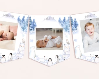 Winter Onederland Monthly Photo Banner Wonderland Boy Girl Birthday Party Decor Polar Bear Arctic Animals Bunting Flag EDITABLE Prop BT46B