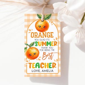 Orange You Glad Its Summer bedankkaartje Eindejaars beste leraar Waardering Week Cadeaukaartjes Afdrukbare bedankkaartjes schoolklas SU06O