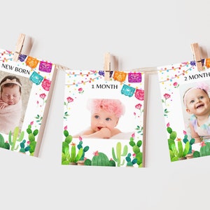 First Fiesta Monthly Photo Banner Mexican Cactus Succulent Birthday Party Decor Cinco De Mayo 12 Month Bunting Flag EDITABLE Garland BT54