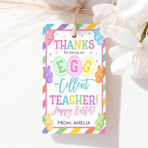 Danke, dass Sie ein ei-cellent Lehrer Ostern Geschenk Tags Kinder Vorschule Schule Klassenzimmer Klasse Wertschätzung Tags Favor Tag Printable HL87P