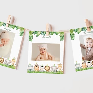 Safari Birthday Monthly Photo Banner Jungle Animals Boy Wild One 12 Month Garland Zoo Animal Party Decor Tropical Gold Green EDITABLE BT96G