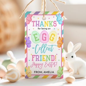 Danke dafür, dass du ein ei-cellent Freund bist Ostergeschenkanhänger Kinder Team Schule Klassenzimmer Klasse Nachbar Teammate Favor Treat Tag Printable HL87P