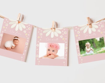Daisy Monthly Photo Banner Girl 1st Birthday Party Decor Retro Groovy Boho Floral Daisies 12 Month Bunting Flag Pink Garland EDITABLE BT84P
