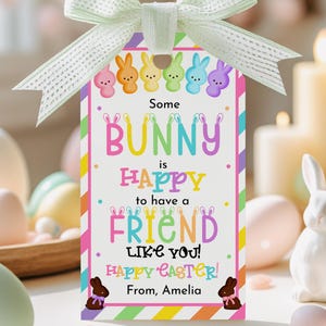 Może przedstawiać: Wielkanocna zawieszka na prezent z pastelową tęczową obwódką w paski i jasnozieloną wstążką. Na zawieszce napis "Some BUNNY is HAPPY to have a FRIEND LIKE YOU! HAPPY EASTER! From, Amelia" z kolorowymi ilustracjami króliczków i jajek.