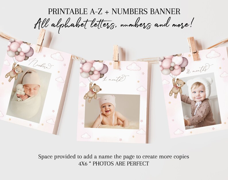 Teddy Bear Monthly Photo Banner Beary First Birthday Party Decor Girl ...