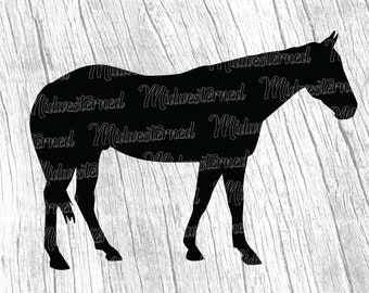 Quarter Horse Silhouette SVG – Black Horse Clipart (Digital Download)