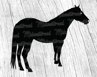 Horse svg - Horse Silhouette svg - Standing Horse svg - Equestrian svg