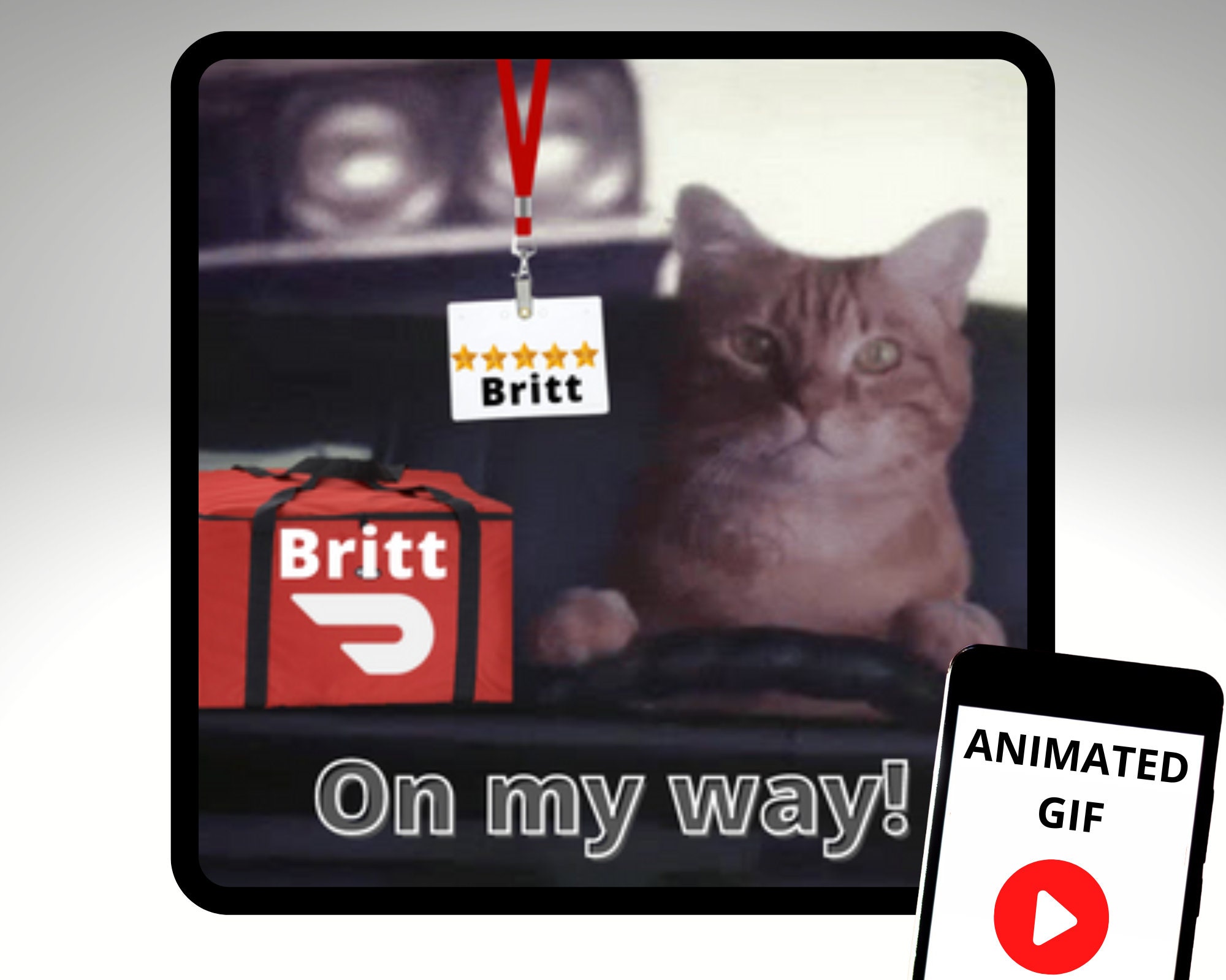 Cute Cat Sneak Peak Sticker for iOS & Android