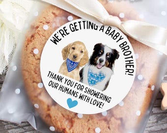 Baby Shower Thank You Labels, Favor Stickers, Pet Dog Stickers, Blue or Pink Baby Shower Decor, Cookie Tags, Baby Shower Prize, Boy or Girl