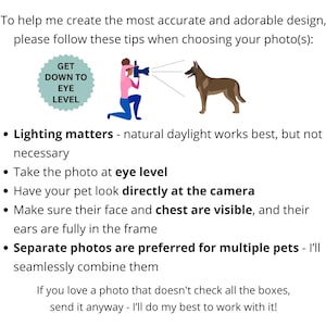 Puede incluir: Un gr&aacute;fico informativo con texto negro sobre fondo blanco. Incluye una insignia circular de color verde azulado con el texto GET DOWN TO EYE LEVEL y una ilustraci&oacute;n de una persona fotografiando a un perro marr&oacute;n. El texto ofrece consejos.
