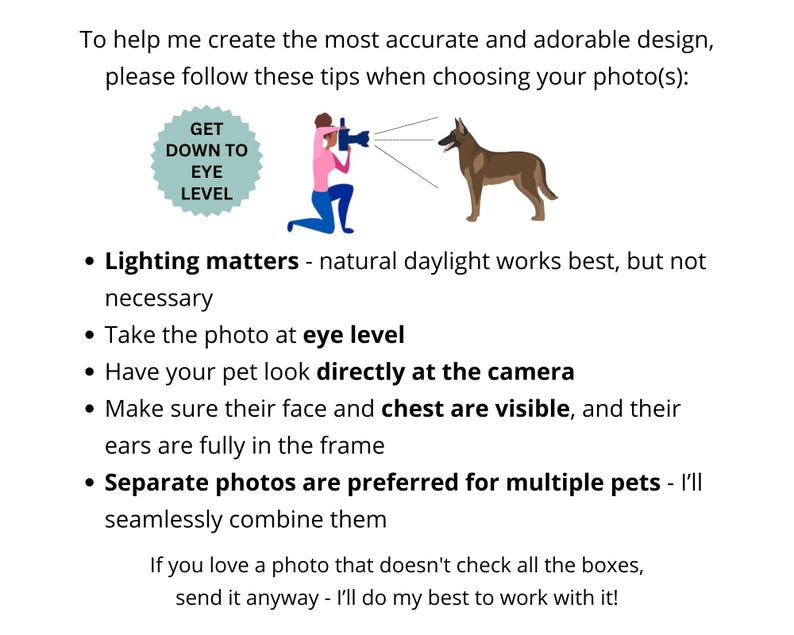 Puede incluir: Un gr&aacute;fico informativo con texto negro sobre fondo blanco. Incluye una insignia circular de color verde azulado con el texto GET DOWN TO EYE LEVEL y una ilustraci&oacute;n de una persona fotografiando a un perro marr&oacute;n. El texto ofrece consejos.