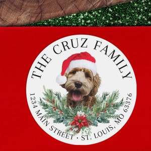 Christmas Address Labels, Pet Address Labels, Dog Christmas Card Stickers, Custom Return Address Sticker, Christmas Card Envelope Seal, Cat