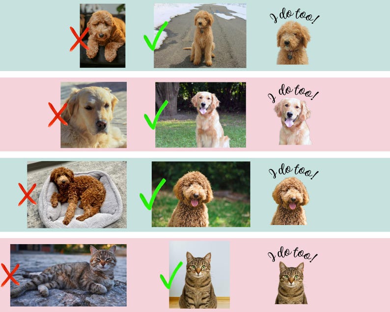 Puede incluir: Una gu&iacute;a de dise&ntilde;o gr&aacute;fico que muestra cuatro filas de fotos de mascotas. Cada fila presenta una X roja sobre una mascota mal iluminada o acostada, una marca de verificaci&oacute;n verde sobre un retrato claro de perro o gato, y el texto I do too! arriba.