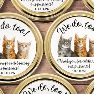 Puede incluir: Etiquetas redondas con borde dorado que muestran tres gatitos en gris, naranja y naranja claro. El texto dice: We do, too! Thank you for celebrating our purrents! 10.10.26. Estas pegatinas circulares tienen un fondo blanco y texto negro.
