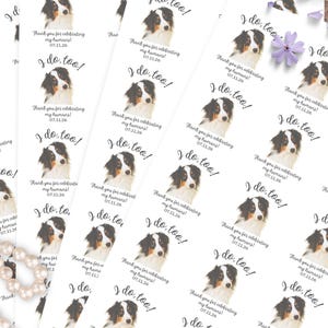 Pegatinas para bodas de perros, etiquetas "Yo también quiero" para recuerdos de mascotas, bolsas de agradecimiento para perros, bodas de gatos, sellos personalizados para sobres de perros, pegatinas para fotos de mascotas imagen 7