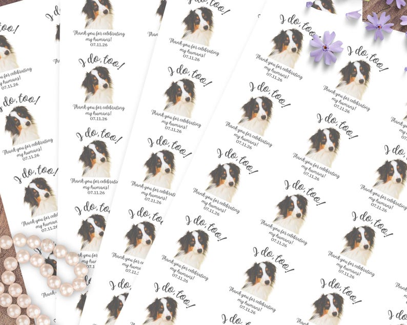 Pegatinas para bodas de perros, etiquetas "Yo también quiero" para recuerdos de mascotas, bolsas de agradecimiento para perros, bodas de gatos, sellos personalizados para sobres de perros, pegatinas para fotos de mascotas imagen 7
