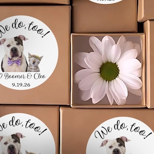 Puede incluir: Una colecci&oacute;n de cajas de cart&oacute;n marr&oacute;n, algunas con pegatinas blancas circulares con el texto We do, too!, un perro con pajarita morada, un gato con corona de flores, los nombres Boomer & Cleo y la fecha 9.19.26. Una caja contiene una margarita blanca.