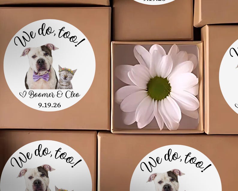 Puede incluir: Una colecci&oacute;n de cajas de cart&oacute;n marr&oacute;n, algunas con pegatinas blancas circulares con el texto We do, too!, un perro con pajarita morada, un gato con corona de flores, los nombres Boomer & Cleo y la fecha 9.19.26. Una caja contiene una margarita blanca.