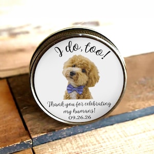 Puede incluir: Una tapa redonda de lata met&aacute;lica con el gr&aacute;fico de un perro de pelo rizado color marr&oacute;n claro que lleva una pajarita morada. El texto dice I do, too! Thank you for celebrating my humans! 09.26.26 sobre un fondo blanco.
