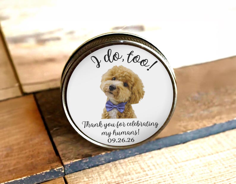 Puede incluir: Una tapa redonda de lata met&aacute;lica con el gr&aacute;fico de un perro de pelo rizado color marr&oacute;n claro que lleva una pajarita morada. El texto dice I do, too! Thank you for celebrating my humans! 09.26.26 sobre un fondo blanco.