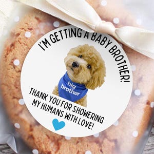 Etiquetas de agradecimiento para baby shower, pegatinas de recuerdo, pegatinas para perros, decoración para baby shower en azul o rosa, etiquetas para galletas, premios para baby shower, niño o niña.