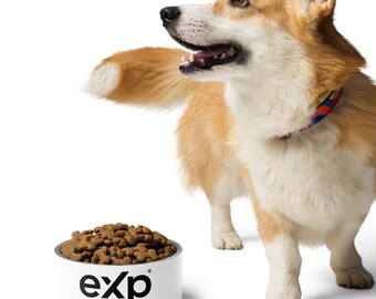 Pet bowl exp realty, exp Realty, Dog bowl, Cat bowl, Pet gift, client gift, exp dog bowl