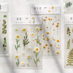 1x Bogen Blumen und Pflanzen Transparent | Vinyl | Handwerk | Junk Journal | Scrapbooking | Gänseblümchen | Lavendel | Farn | Rose | Blüte | Pflanzen