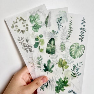 3 hojas de pegatinas de plantas de interior / Paquete de pegatinas washi / Suministros para diario / Bullet Journal / Álbum de recortes / Plantas / Hojas / Vid