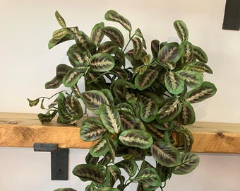 Maranta artificielle 70 cm avec ou sans pot