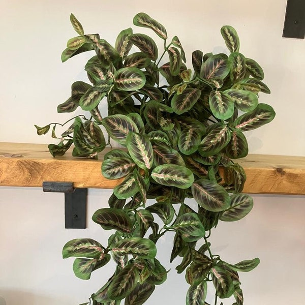 Maranta artificielle 70 cm avec ou sans pot