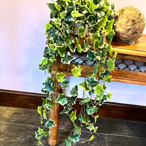 May include: A long, trailing artificial plant with green and white variegated leaves. The plant is hanging from a wooden table.