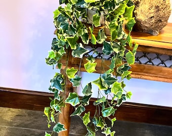 Knstlicher bunter hngender Efeu - 100 cm - mit oder ohne Topf - Etsy  sterreich