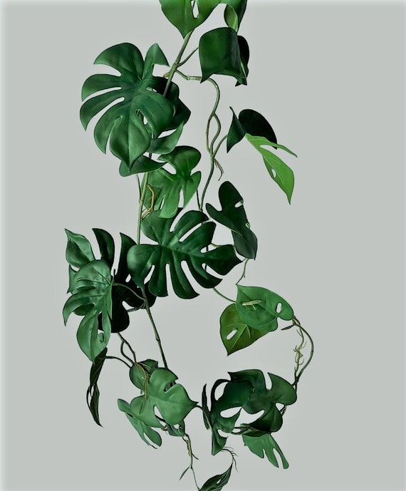 Knstliche rankende Monstera-Ranke - 110 cm - Etsy.de