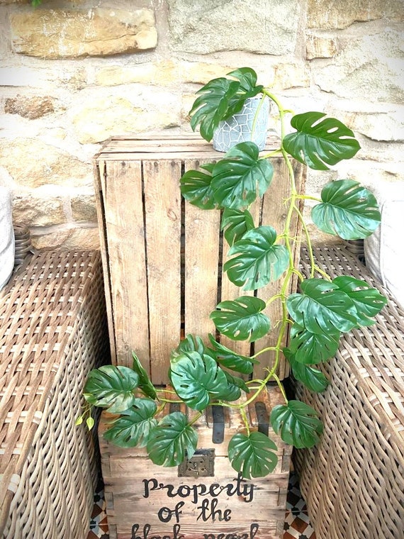 Knstliche Monstera-Ranke -122 cm - 9 cm-Bltter - Etsy sterreich