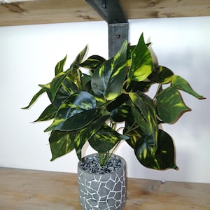 Puede incluir: Una planta verde y amarilla con hojas en una maceta de cerámica con estampado blanco y gris se encuentra en un estante de madera con un soporte de metal negro.