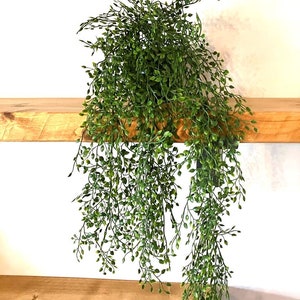 Artificial Mini Jasmin