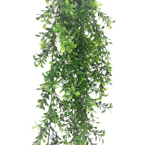 Plastic Plants Outdoor Basket Wall Hanging Plants Plastic Vines for Wedding  Backdrops Indoor Wall Decorations 2 Bunches YLM-5513 