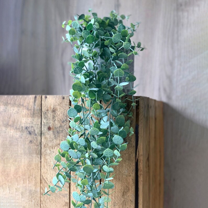 Artificial Trailing Gunni Eucalyptus 95cm Natural Green Etsy