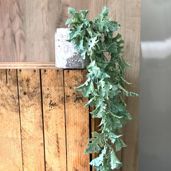 Trailing Plastic Plants Etsy UK