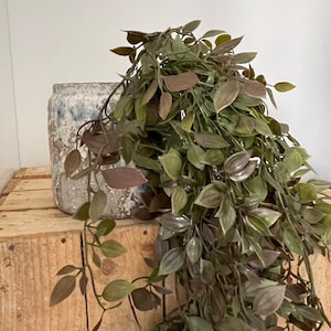 Artificial Ruscus Trailing Plant, 100cm