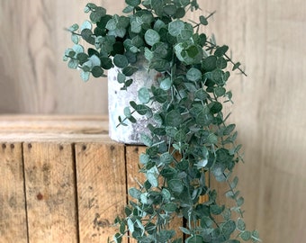 Eucalyptus gunni artificiel - 95 cm - vert naturel avec ou sans pot