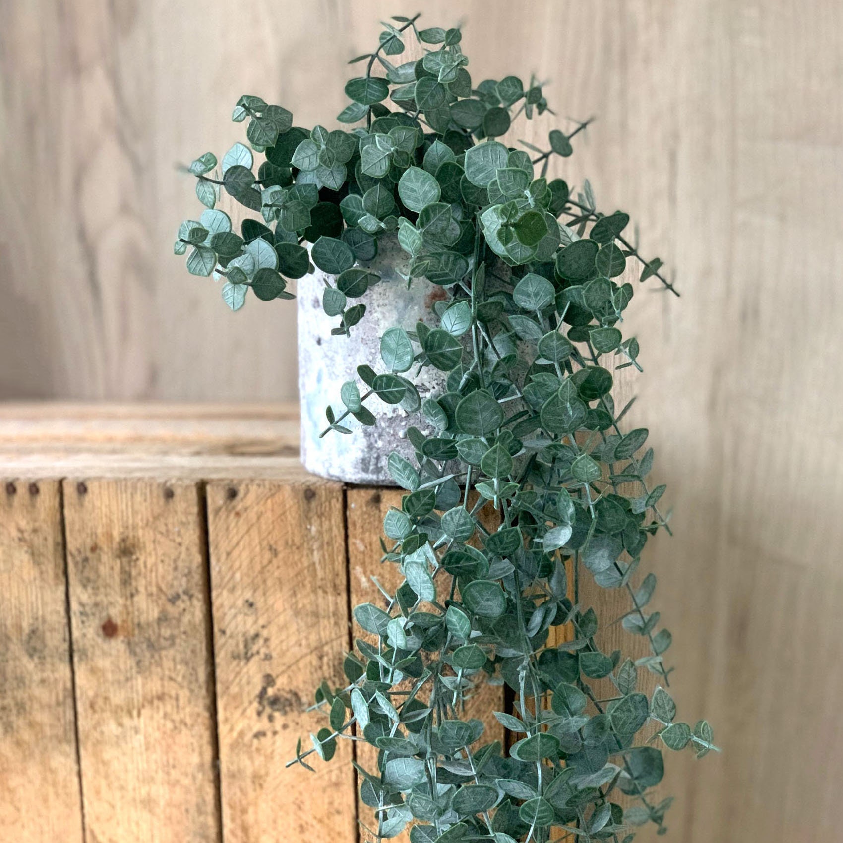 1 Pack Hanging Plants with Pots, Eucalyptus Artificial Plants Green