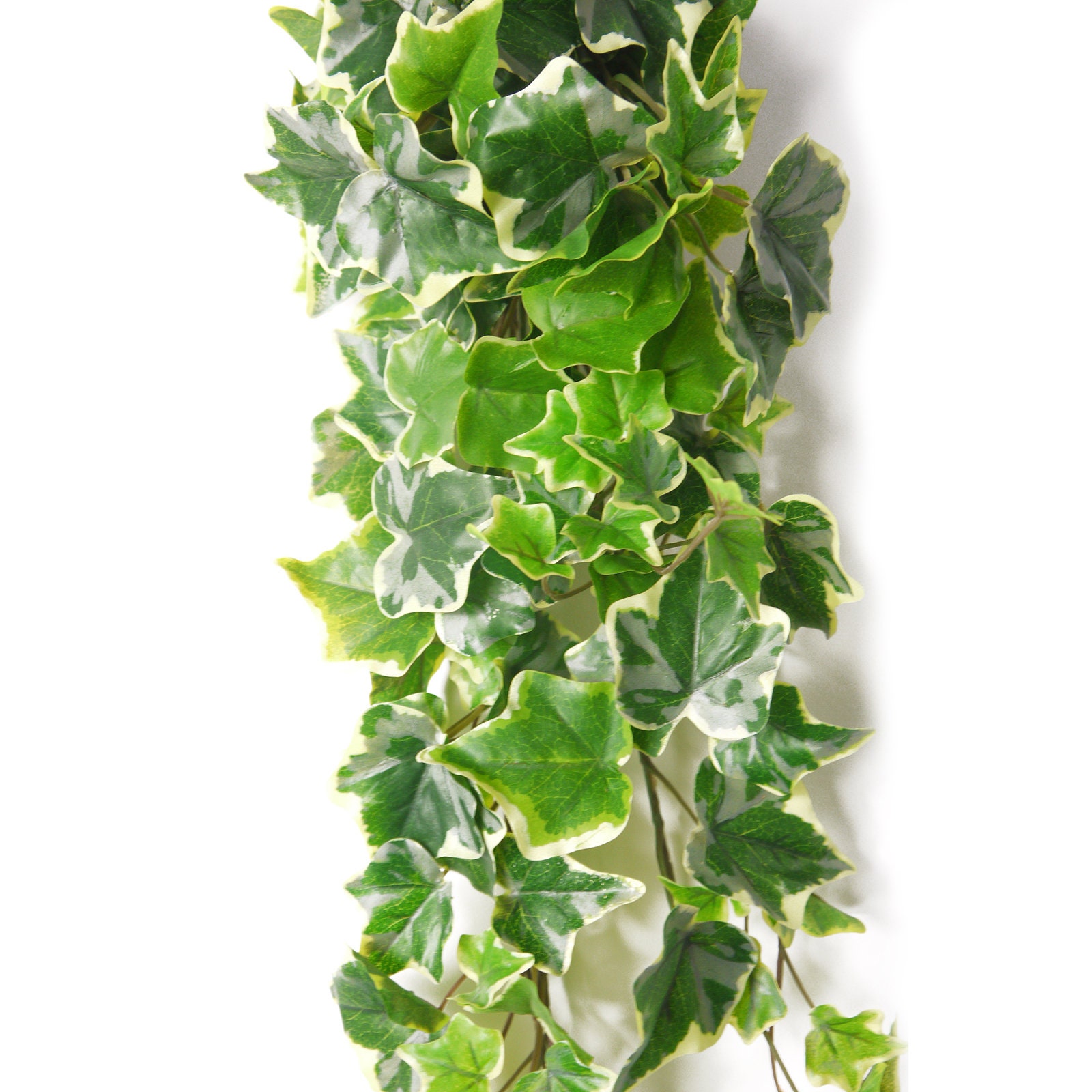 Artificial Variegated Trailing Ivy 70cm Etsy UK