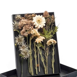 Giftbox with flowers beige/cream