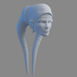 1/12 & 1/18 - Numa 3D printed head