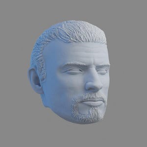 1/12 - Baron Fel - 3D-geprinte kop