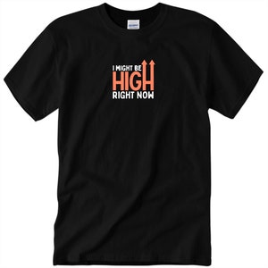 I Might Be Bloodsugar HIGH Right Now Type 1 Diabetes Type 2 Diabetic Funny Humor Graphic Tshirt