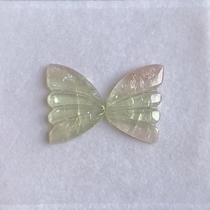 Hand Carved Tourmaline Butterfly: AAA Gemstone Slice, 20x14mm