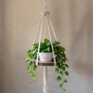 Może przedstawiać: Wiszący kwietnik z makramy z okrągłą drewnianą półką i białym ceramicznym donicą wypełnioną zielonymi roślinami. Makrama jest w kolorze złamanej bieli, a roślina ma długie, zwisające pędy. Kwietnik jest zawieszony w jednym punkcie.